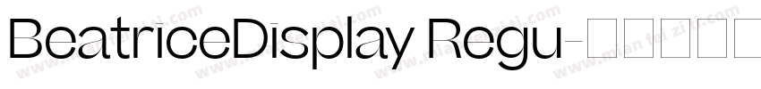 BeatriceDisplay Regu字体转换